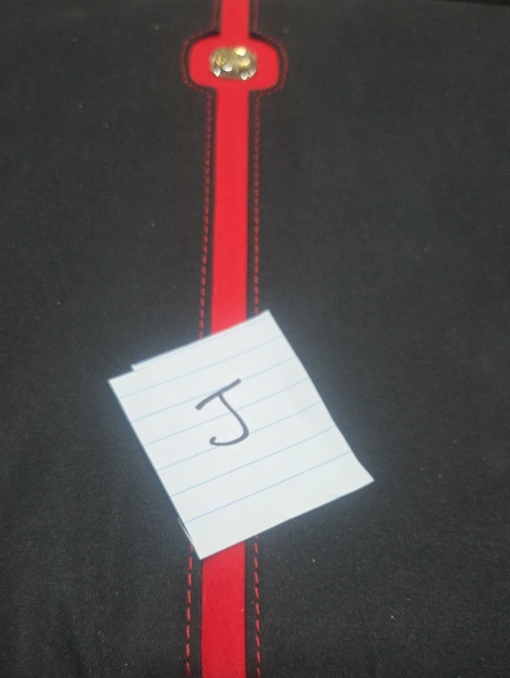 Swissgear Maya computer Bag 16
